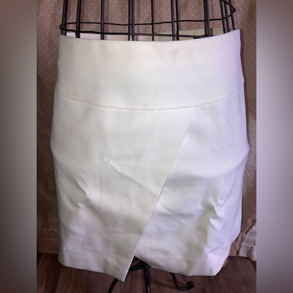 J Crew Skirt